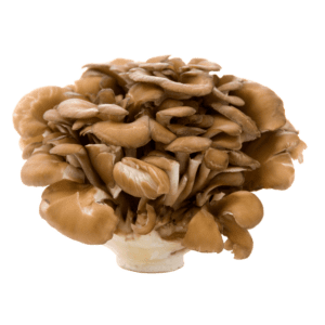 maitake