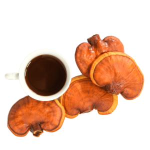 reishi